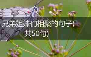 姐妹们的时过境迁的句子