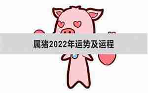属猪人2017年运势运程每月运程