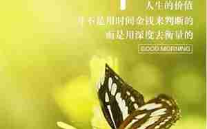 早上好阳光好的句子图片带字图片