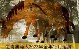 马年龙运势