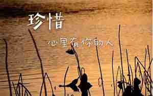 爱惜珍惜身边人的句子
