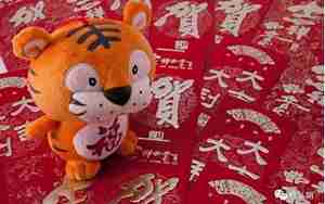 属虎之人2017年运势