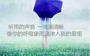 描写雨的优美句子200字左右