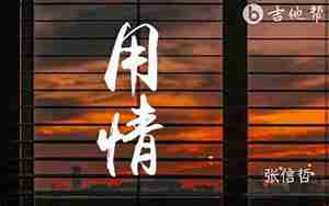 用情
