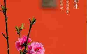 阳春三月描写兰花的句子