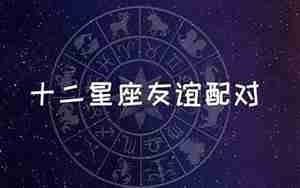友谊的星座