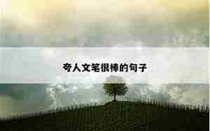 夸男性友的句子