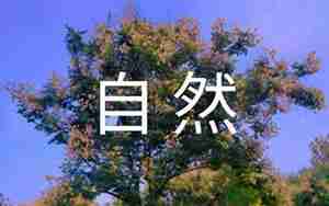 有关大自然的句子500字