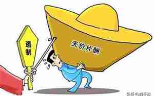 特别主演是什么意思