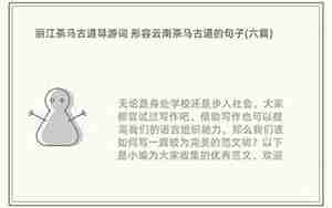 导游载客句子
