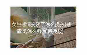 女生如何挽救感情