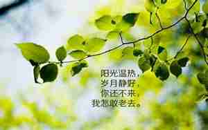 有关友情的搞笑句子大全