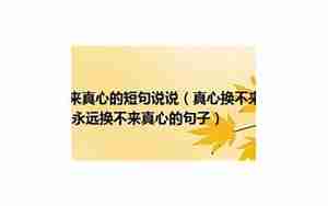 换不出真心句子