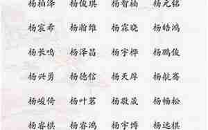 杨锡什么的八字取名