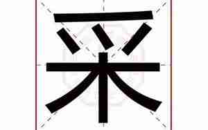 采字起名