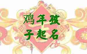 姓林鸡年出生宝宝起名