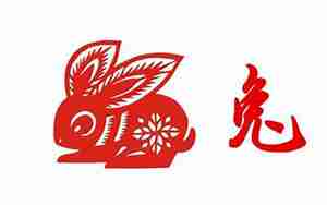 生肖兔2017年运势