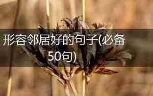 形容邻居可恶的句子