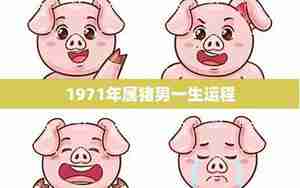 生肖属猪1971男运势