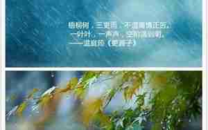 好关于雨的词语和句子有哪些