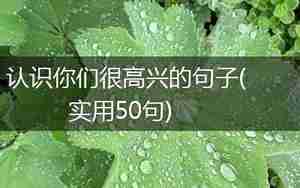 跟家人高兴的句子