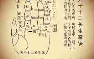 林月霜八字