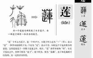 莲字起名