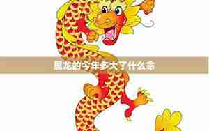 助龙运势