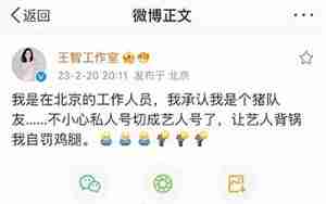 调侃自己总忘事的句子