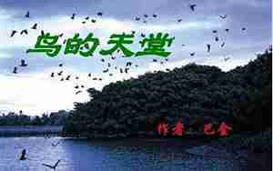 鸟的天堂点面的句子