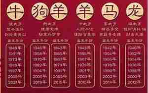 鸡年蛇的运势