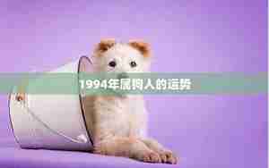 狗运运势