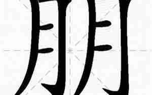 朋字起名