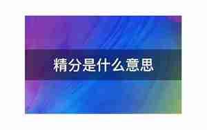 精分是什么