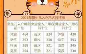 虎宝名字运势
