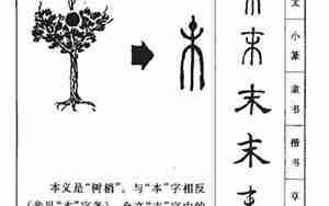 末字起名
