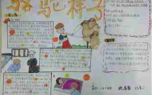 骆驼祥子里的句子摘抄