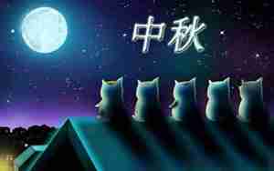 有关中秋节夜晚的句子