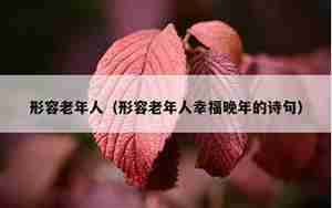 形容老奶奶年迈样子的句子