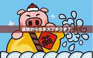 肖猪2021年生肖运势