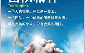 工作的团队精神句子