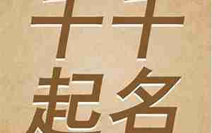 起名08