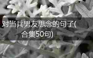 对当兵男友思念的句子