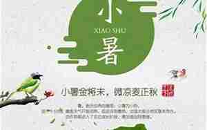 夏天家乡的词语和句子大全