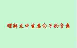 理解散文中的句子