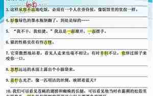 四年级下册句子复习
