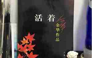 感情受伤适合看的书
