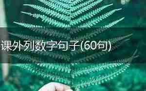 课外列数字的句子