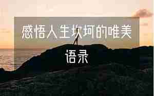 感唔人生唯美句子
