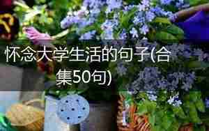 毕业后想大学生活的句子